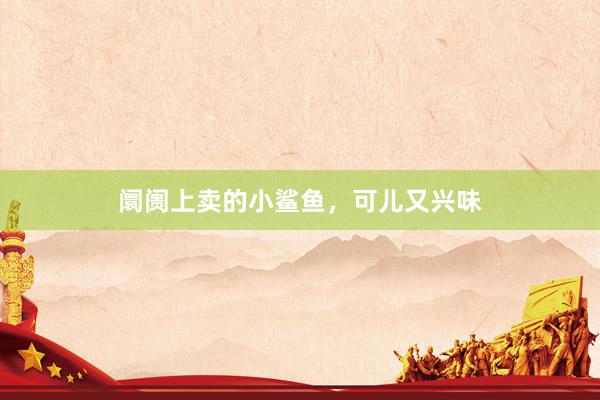 阛阓上卖的小鲨鱼，可儿又兴味