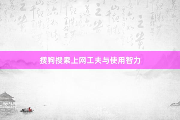 搜狗搜索上网工夫与使用智力