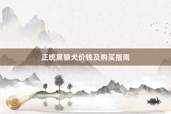 正统黑狼犬价钱及购买指南
